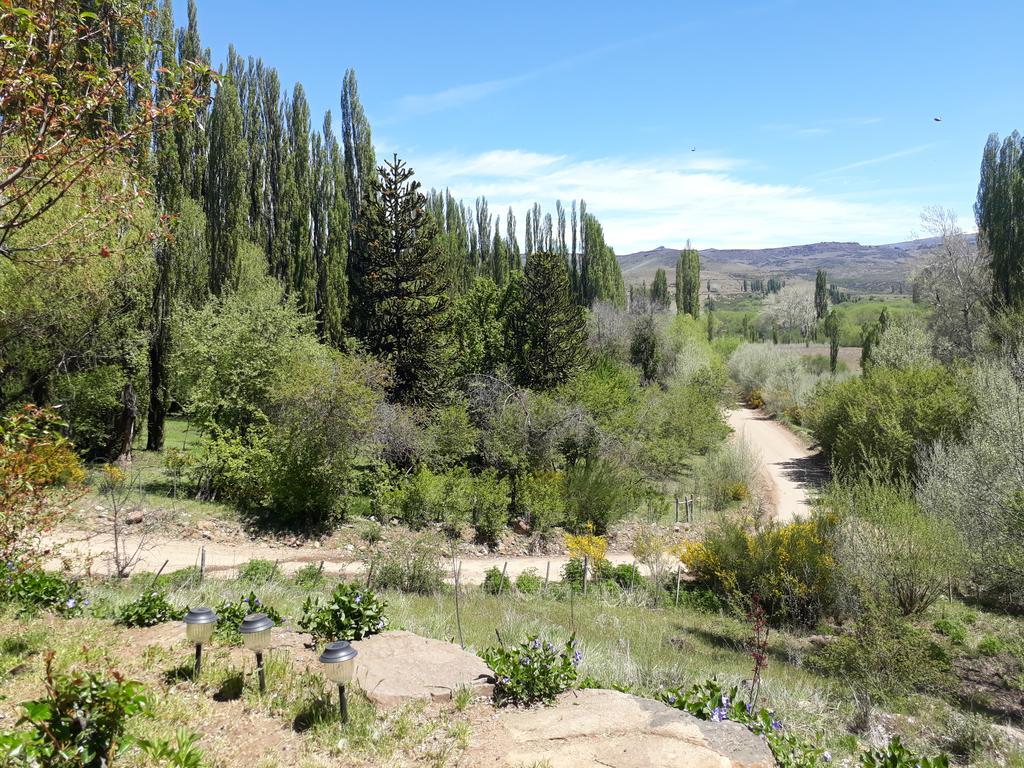Posada de Campo la Calma Aluminé Exterior foto